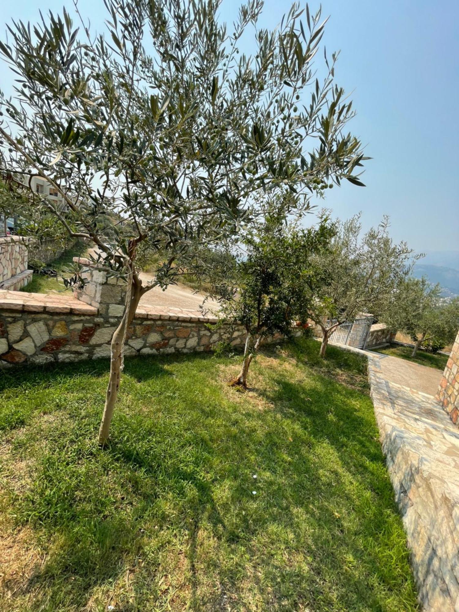 Belvedere Hotel & Suites Himare Exteriör bild