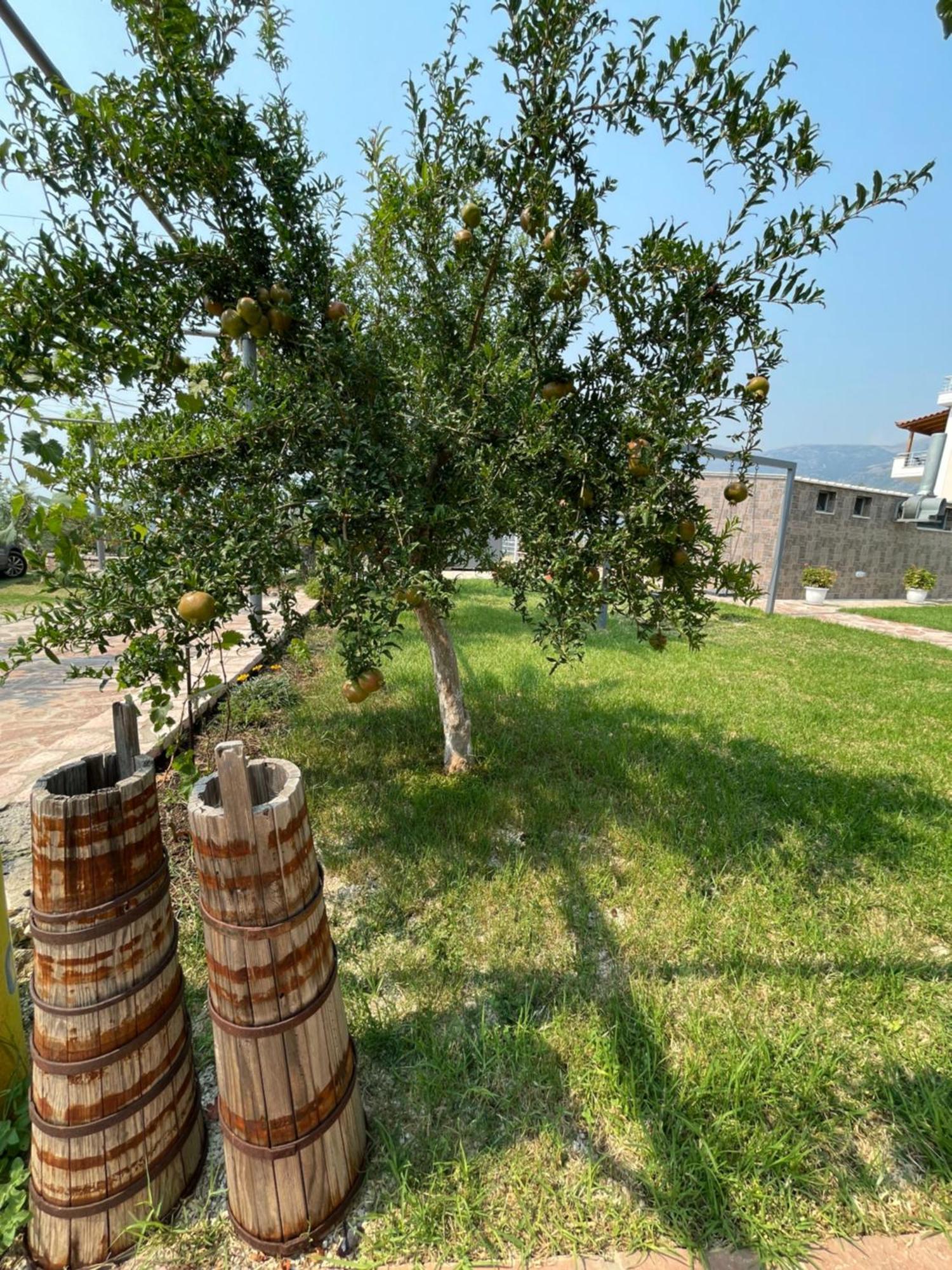 Belvedere Hotel & Suites Himare Exteriör bild