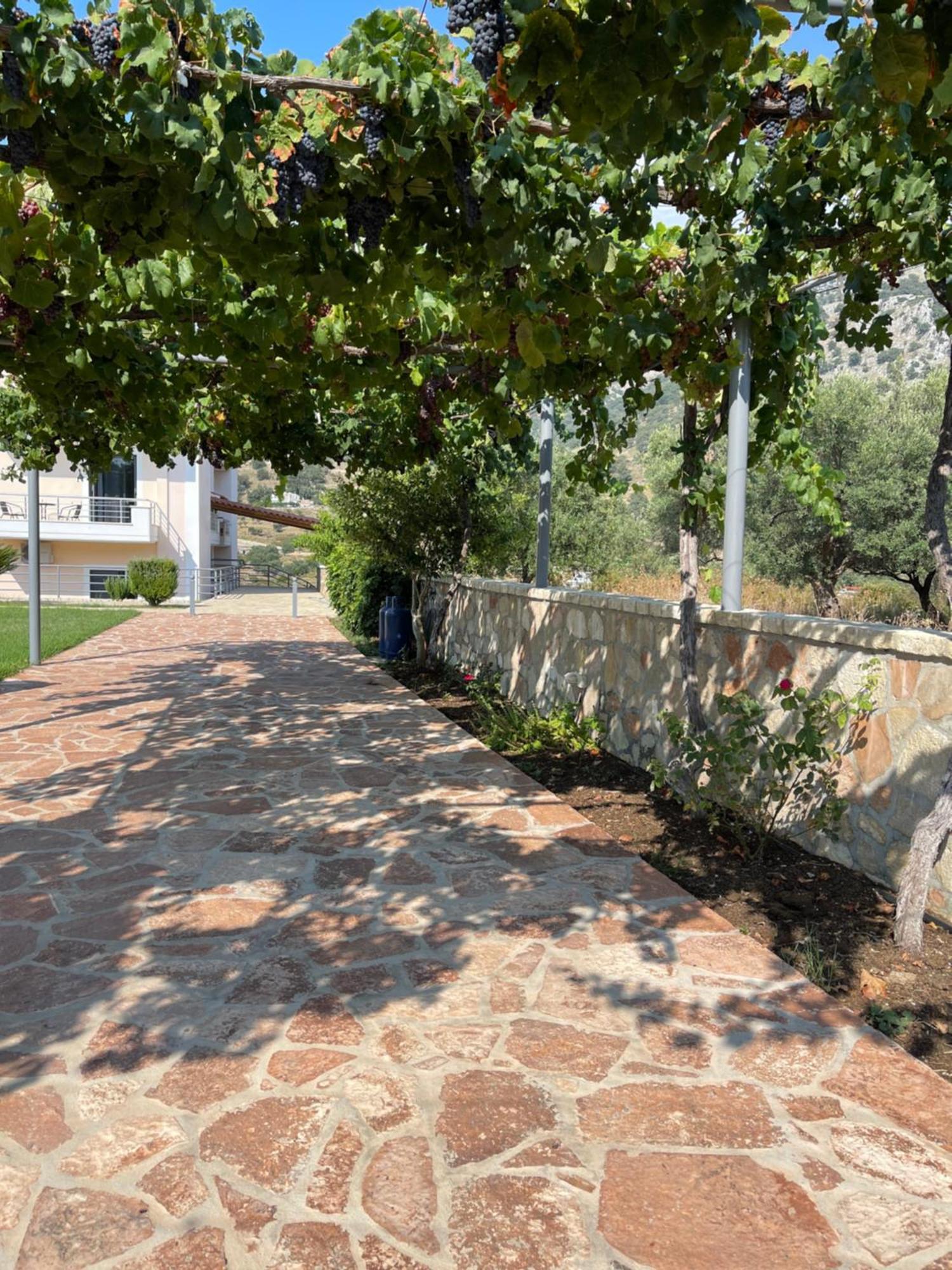 Belvedere Hotel & Suites Himare Exteriör bild